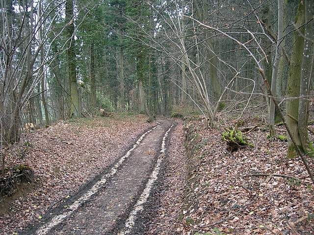 le  Specie  invernali  del  Leimental